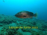 Lanzarote Junio 2022 (publicado 24.04.2023)