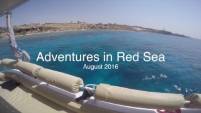Mar Rojo Agosto 2016