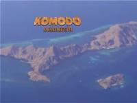 Submarinismo en Komodo
