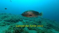 Lanzarote Junio 2022